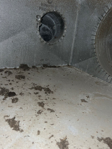 contact about dryer vent cleaning va air duct cleaning va dryer vent cleaning in chesapeake air duct cleaning in chesapeake contact about dryer vent cleaning va air duct cleaning va dryer vent cleaning in chesapeake air duct cleaning in chesapeake